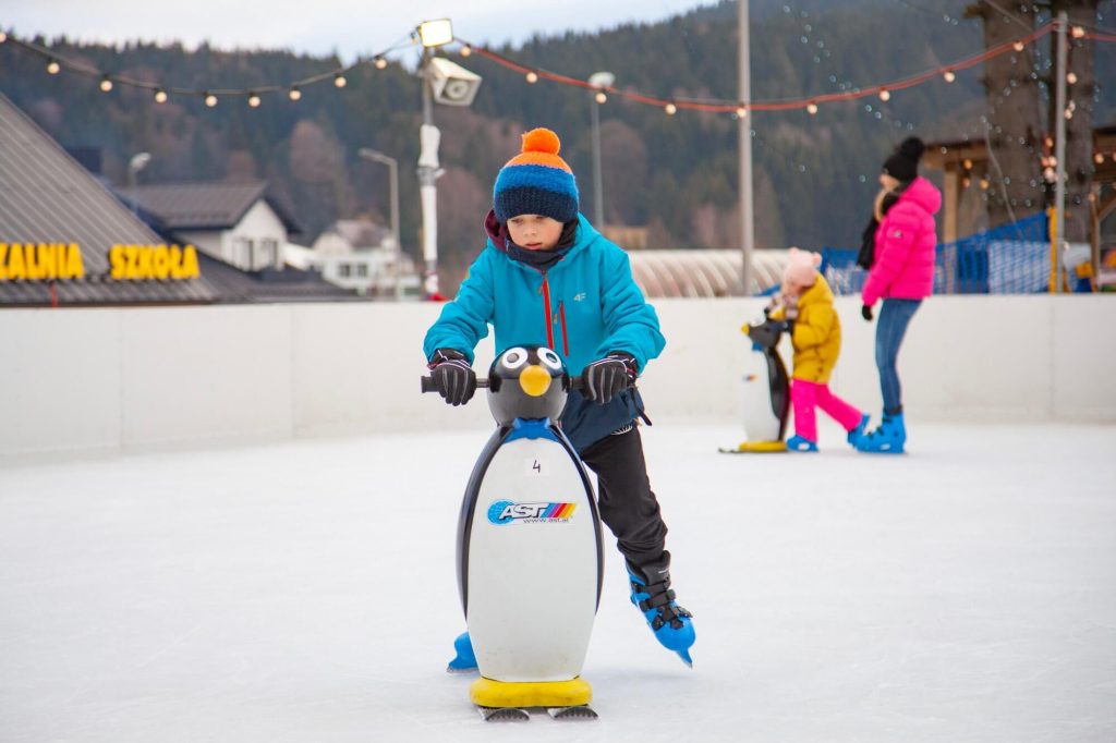 Lodowisko Ice Arena